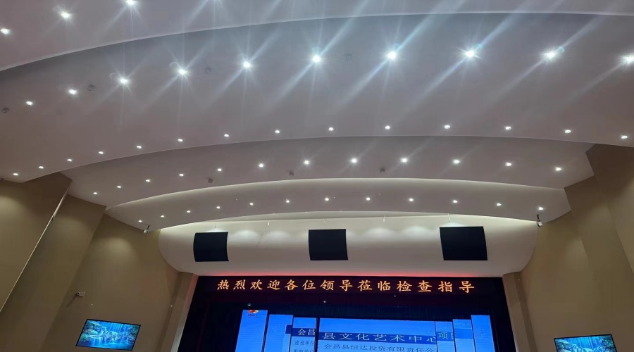 劇院GRG吊頂造型 劇院GRG吊頂造型